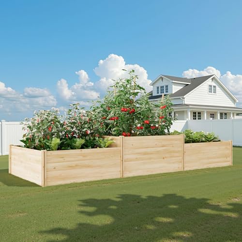 SPECRAFT 2-Tier Raised Garden Bed